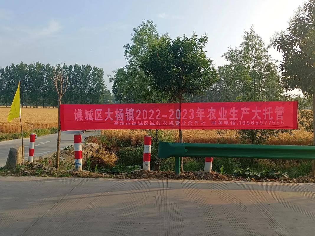 春雨润沃土，托管绘丰年——谯城区大杨镇2022-2023年农业生产大托管实践侧记